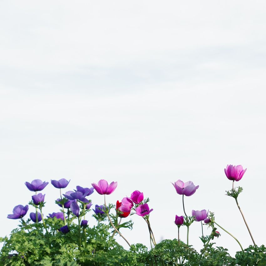 ブログ始めます