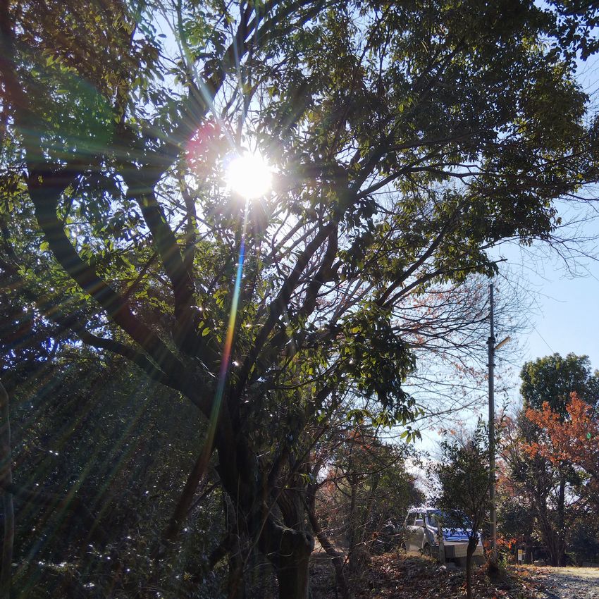 あけましておめでとうございます