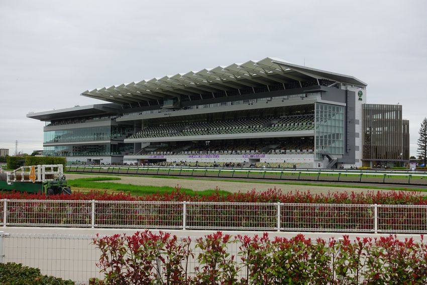 中京競馬場