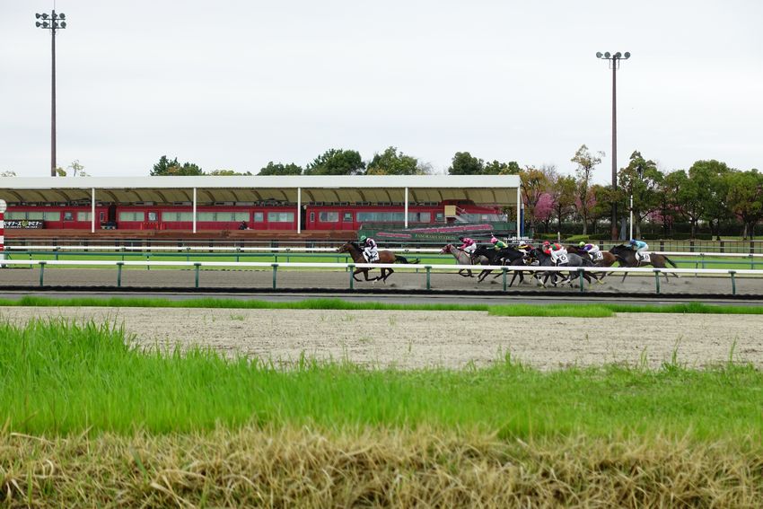中京競馬場