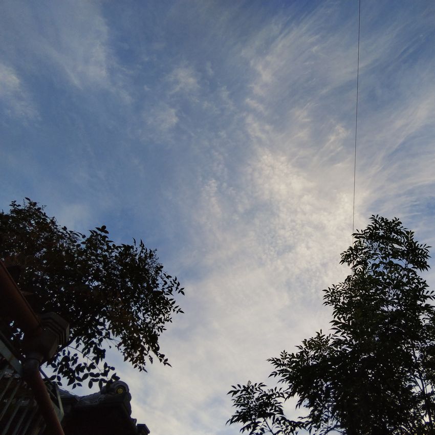 いつの間にか、秋。