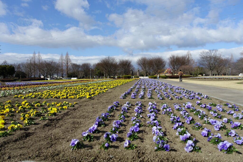 鈴鹿フラワーパーク