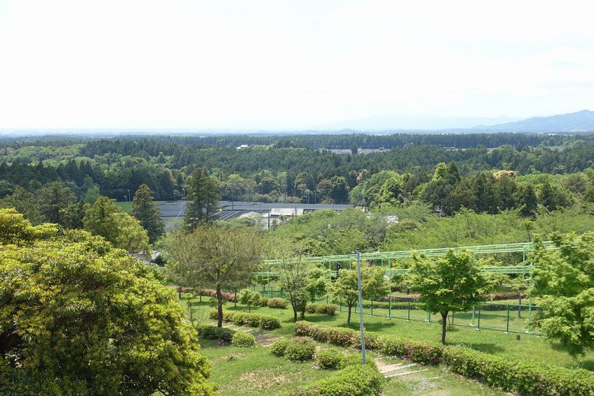 四日市スポーツランド