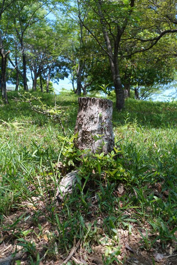 四日市スポーツランド