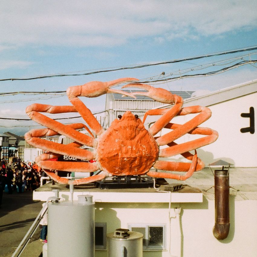 2024年　お疲れさまでした