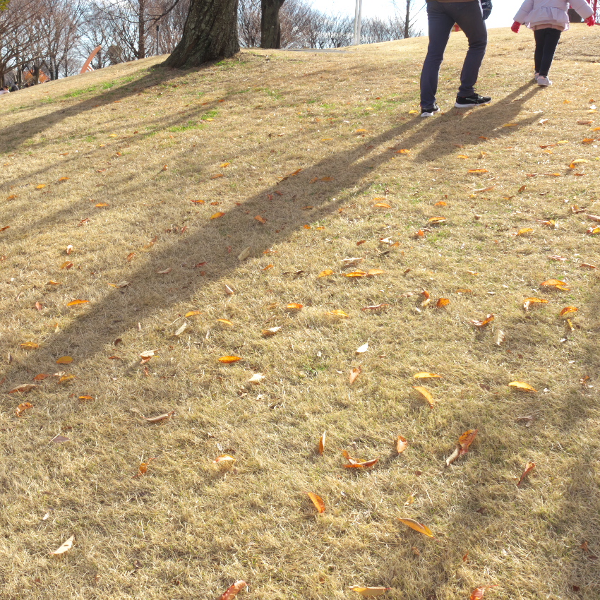 鈴鹿フラワーパーク