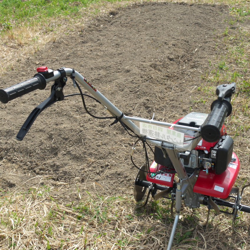 じゃがいも植え付け